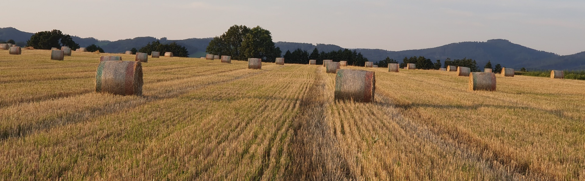 Aktuality-foto