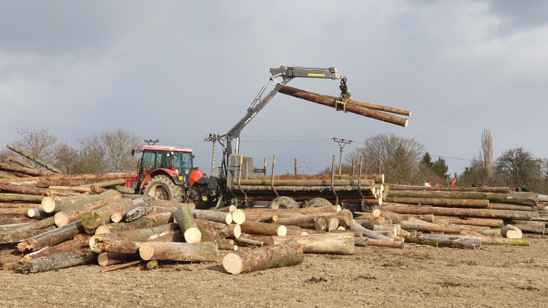 Chystání dřeva na příští zimu (či na prodej) také patří mezi naše aktivity